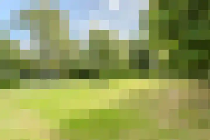 Delta 98 Lelystad thumbnail 42