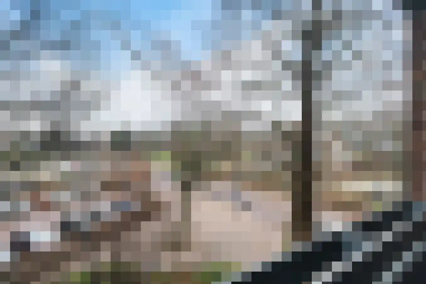 Deltahof 10 A Hillegom thumbnail 5