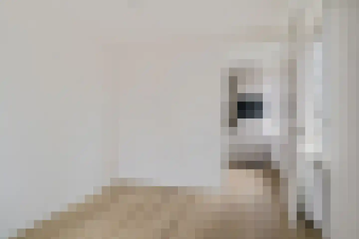 Deltahof 10 B Hillegom thumbnail 11