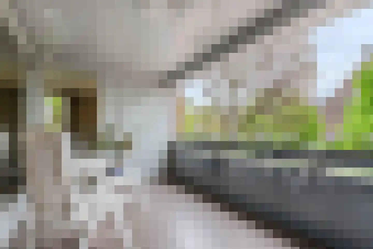 Deltahof 4 Hillegom thumbnail 14