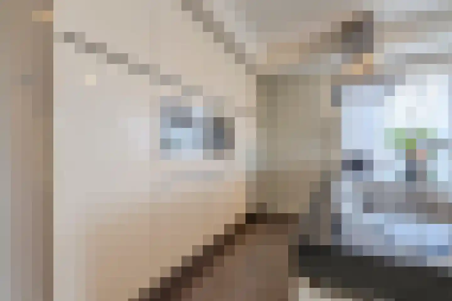 Deltahof 4 Hillegom thumbnail 21