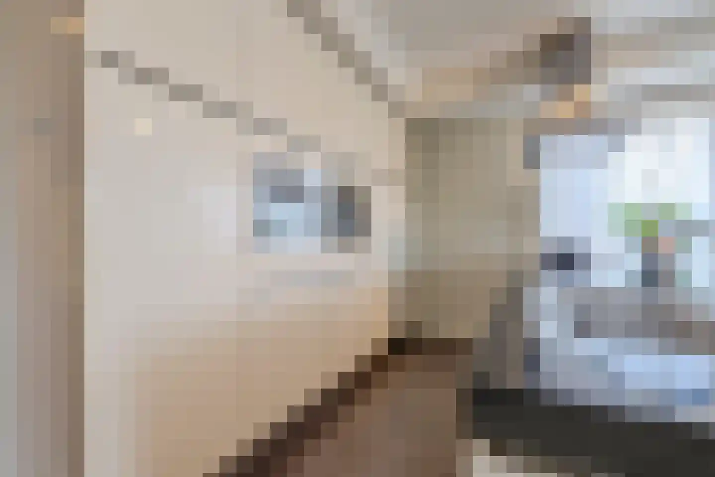 Deltahof 4 Hillegom thumbnail 22