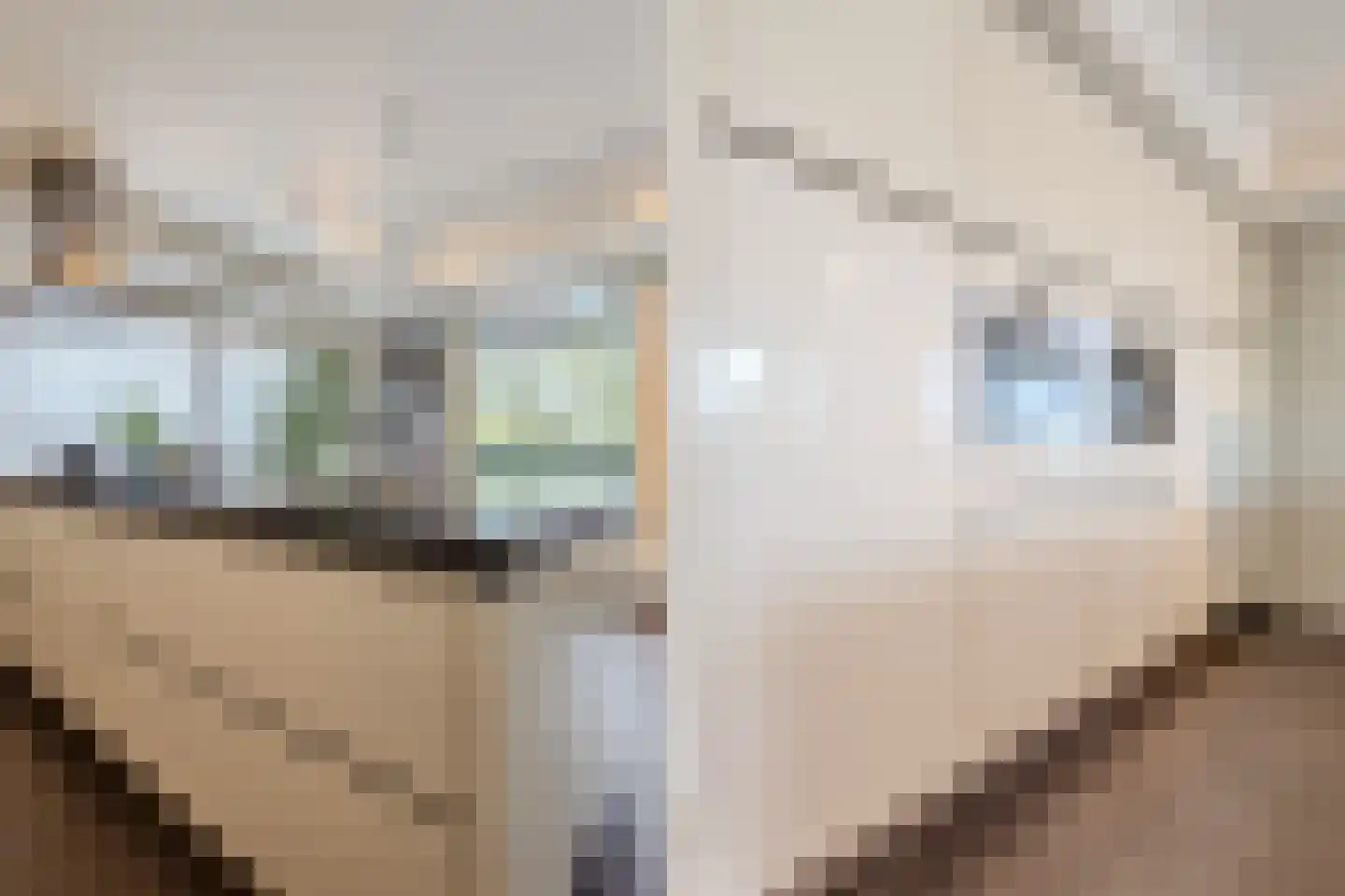 Deltahof 4 Hillegom thumbnail 24