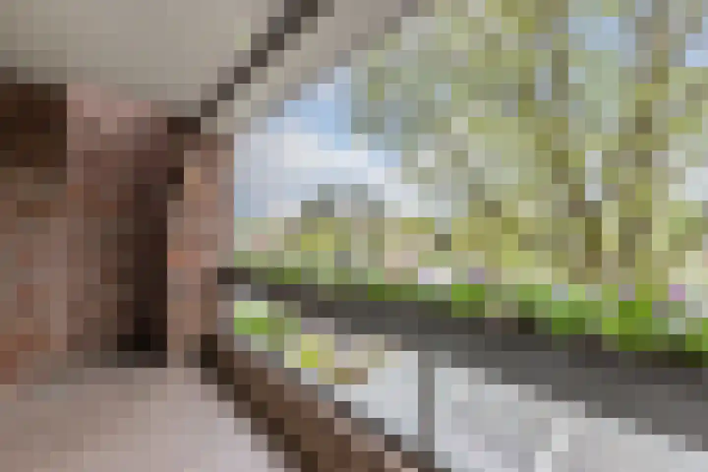Deltahof 4 Hillegom thumbnail 25