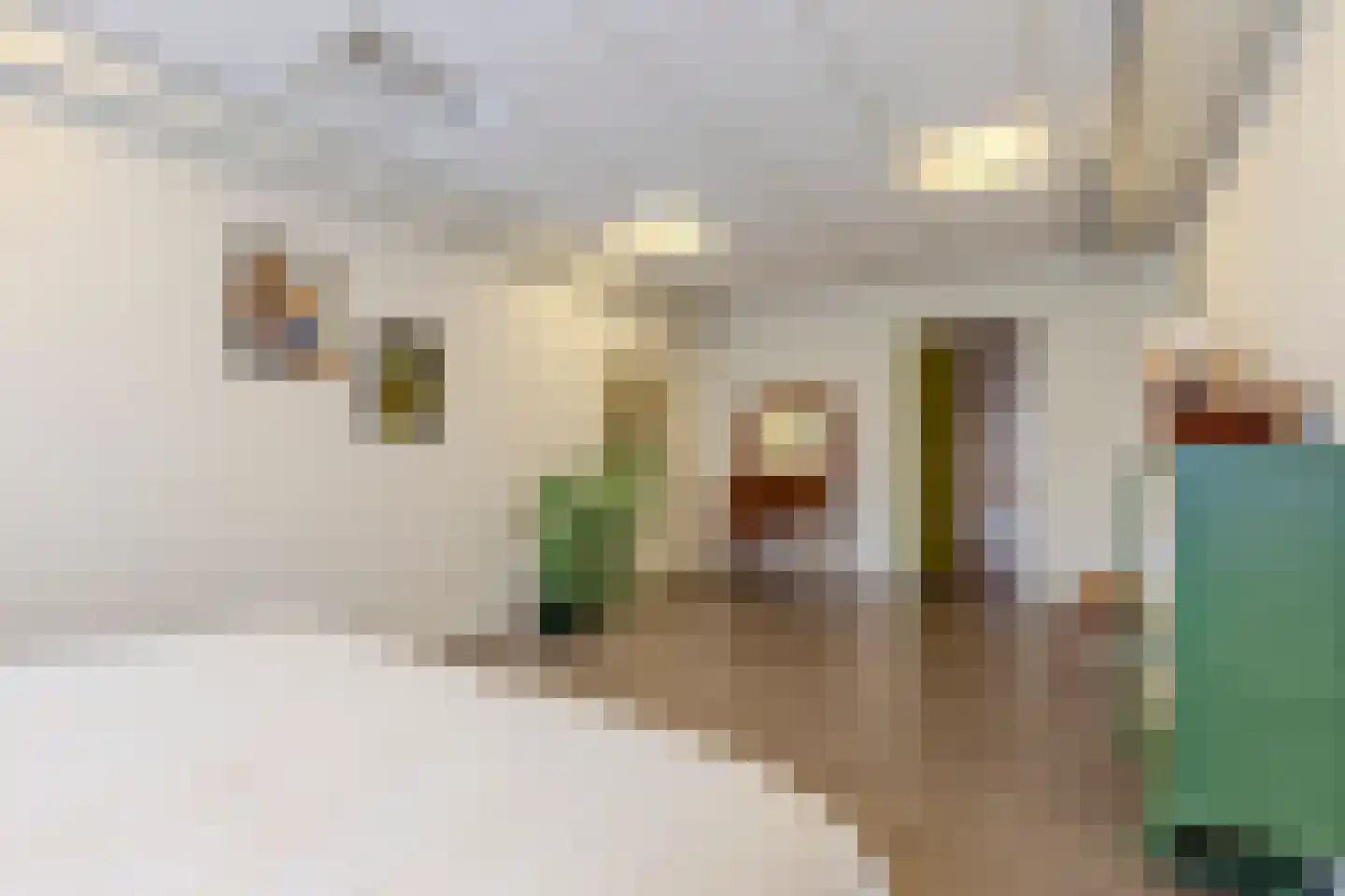 Deltahof 4 Hillegom thumbnail 39