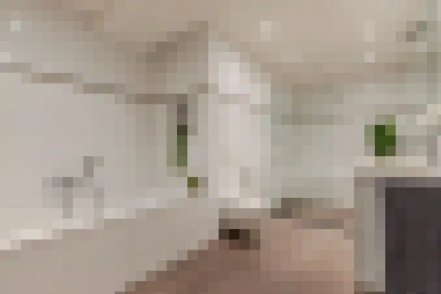 Deltahof 4 Hillegom thumbnail 40