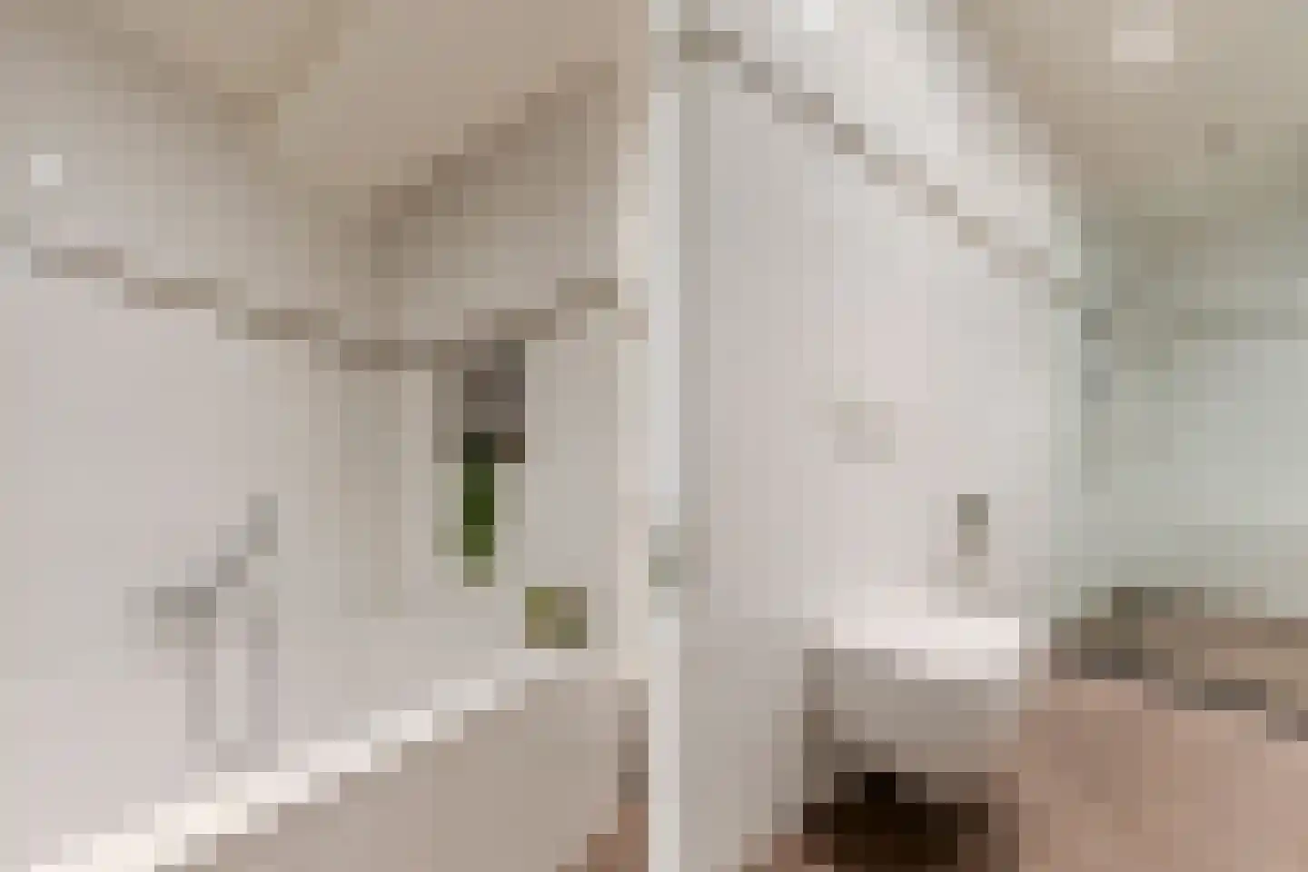 Deltahof 4 Hillegom thumbnail 41