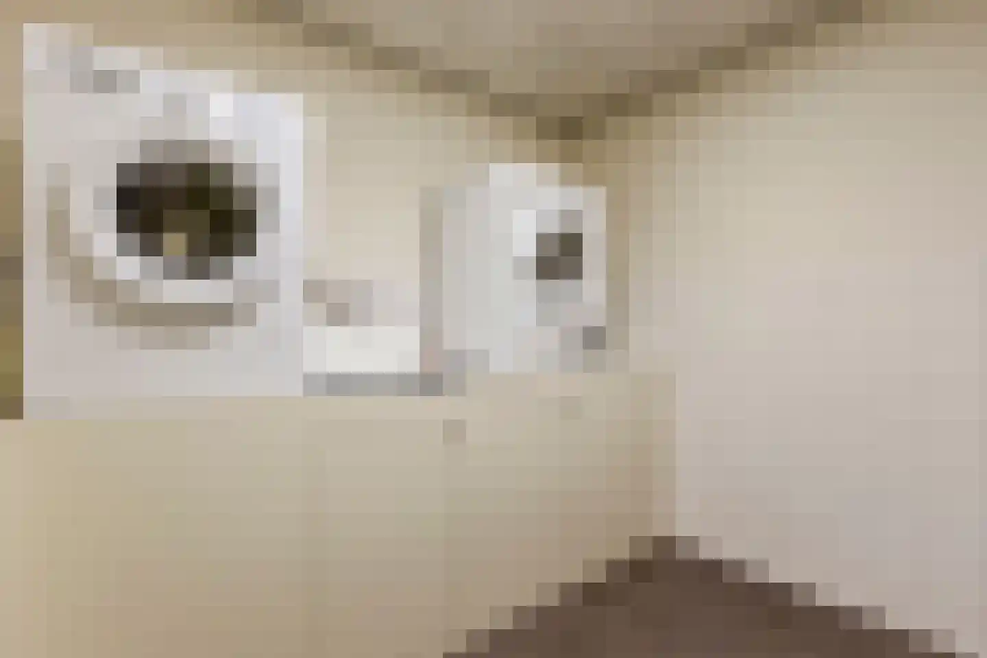 Deltahof 4 Hillegom thumbnail 53