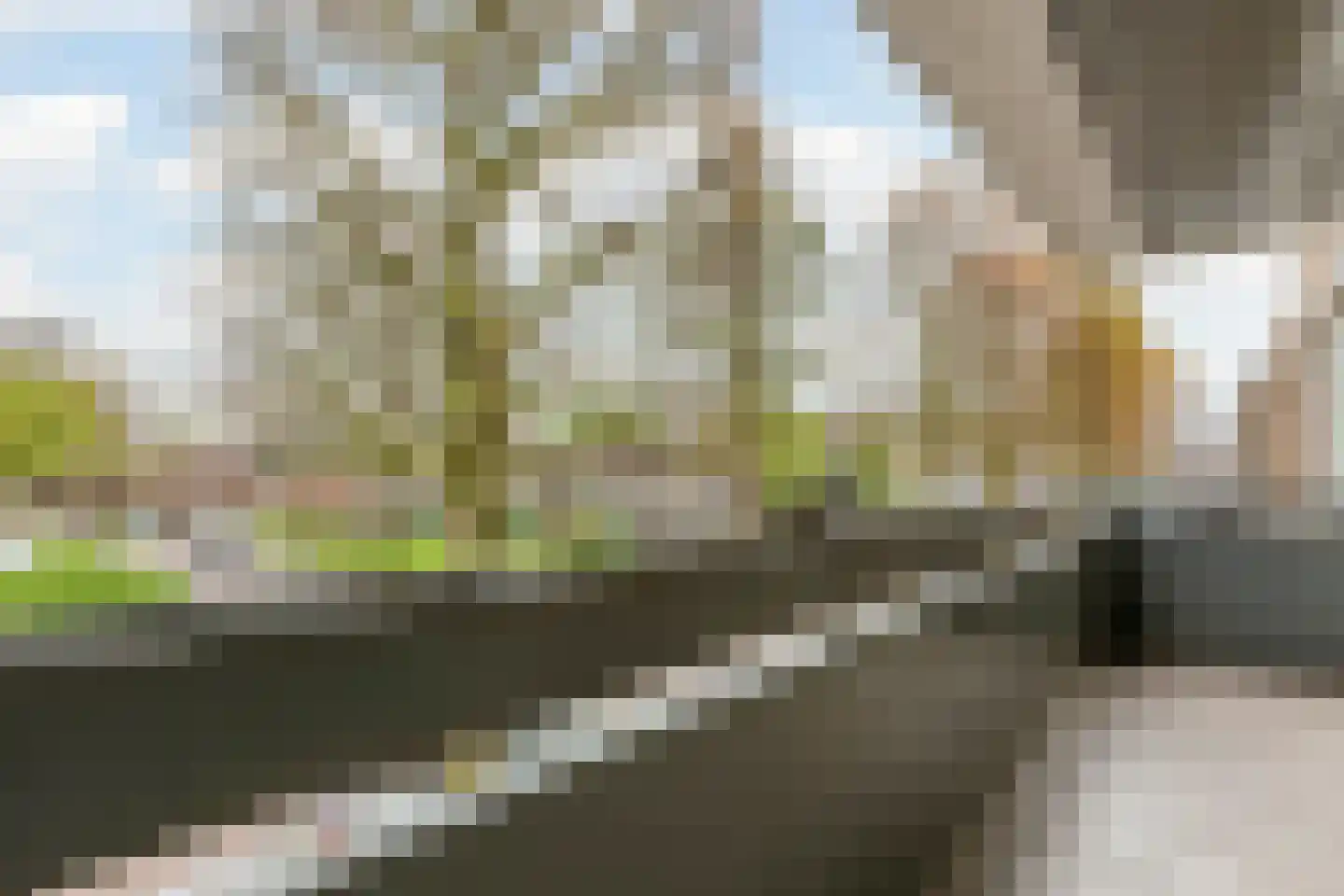 Deltahof 4 Hillegom thumbnail 6