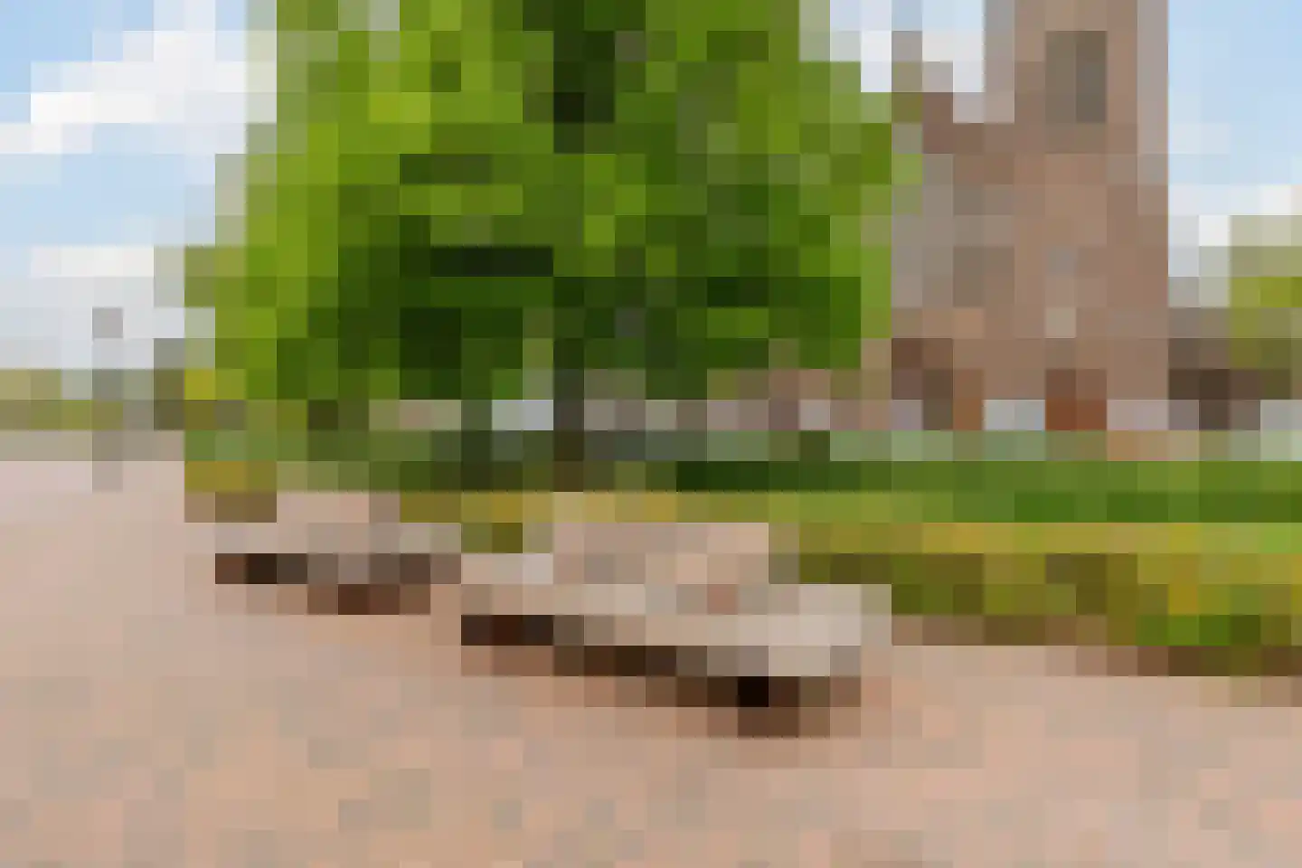 Deltahof 4 Hillegom thumbnail 70