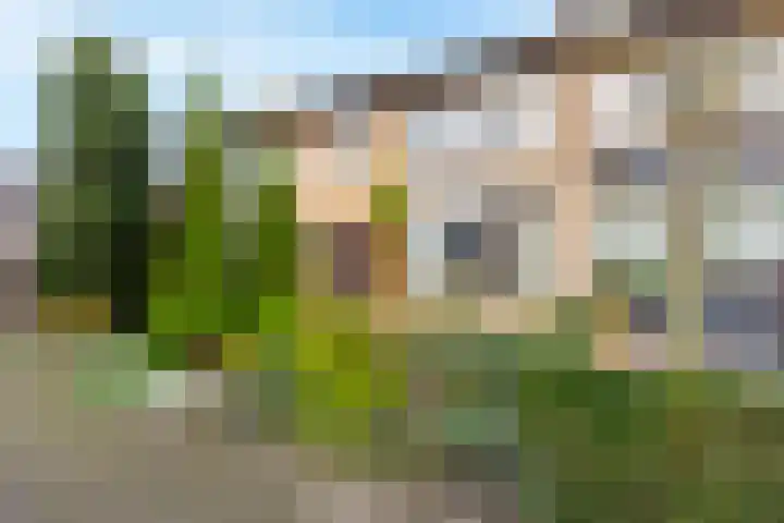 Deltalaan 114 en Sliedrecht