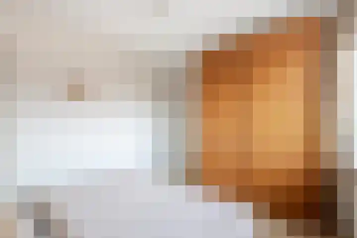 Deltalaan 114 Sliedrecht thumbnail 11
