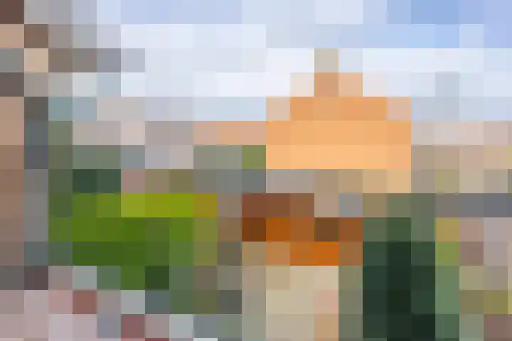 Deltalaan 114 Sliedrecht thumbnail 12