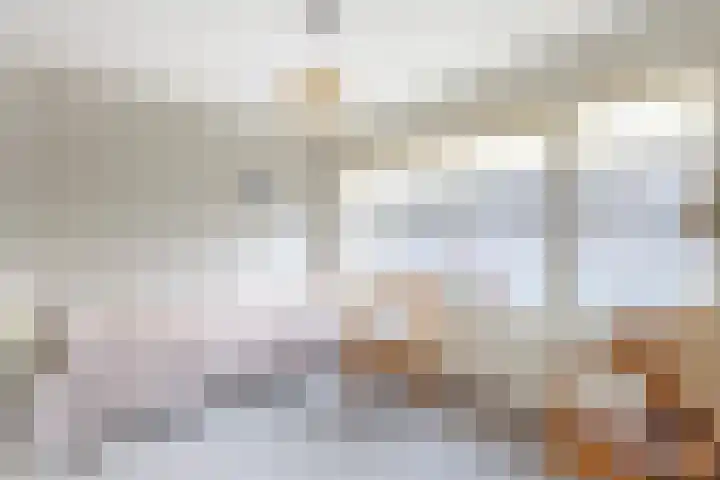 Deltalaan 114 Sliedrecht thumbnail 13