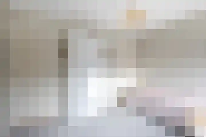 Deltalaan 114 Sliedrecht thumbnail 14