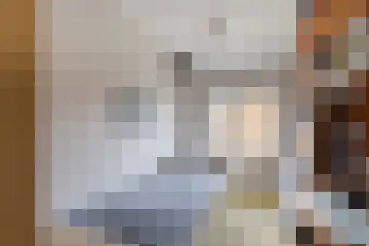Deltalaan 114 Sliedrecht thumbnail 15