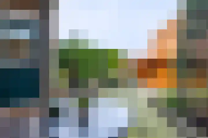 Deltalaan 114 Sliedrecht thumbnail 21