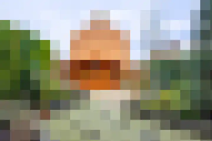 Deltalaan 114 Sliedrecht thumbnail 22