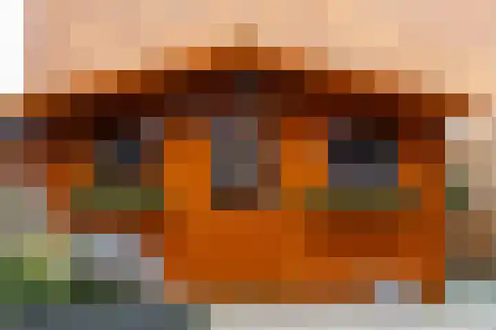 Deltalaan 114 Sliedrecht thumbnail 23