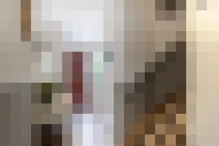 Deltalaan 114 Sliedrecht thumbnail 8
