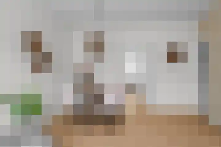 Deltalaan 115 Deventer thumbnail 7