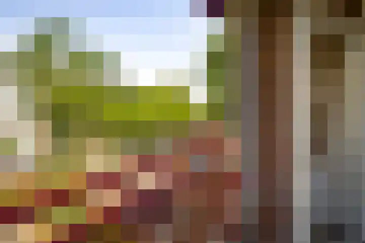 Deltalaan 128 Deventer thumbnail 4