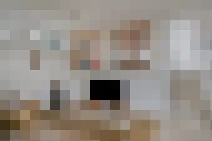 Deltalaan 15 Tilburg thumbnail 14
