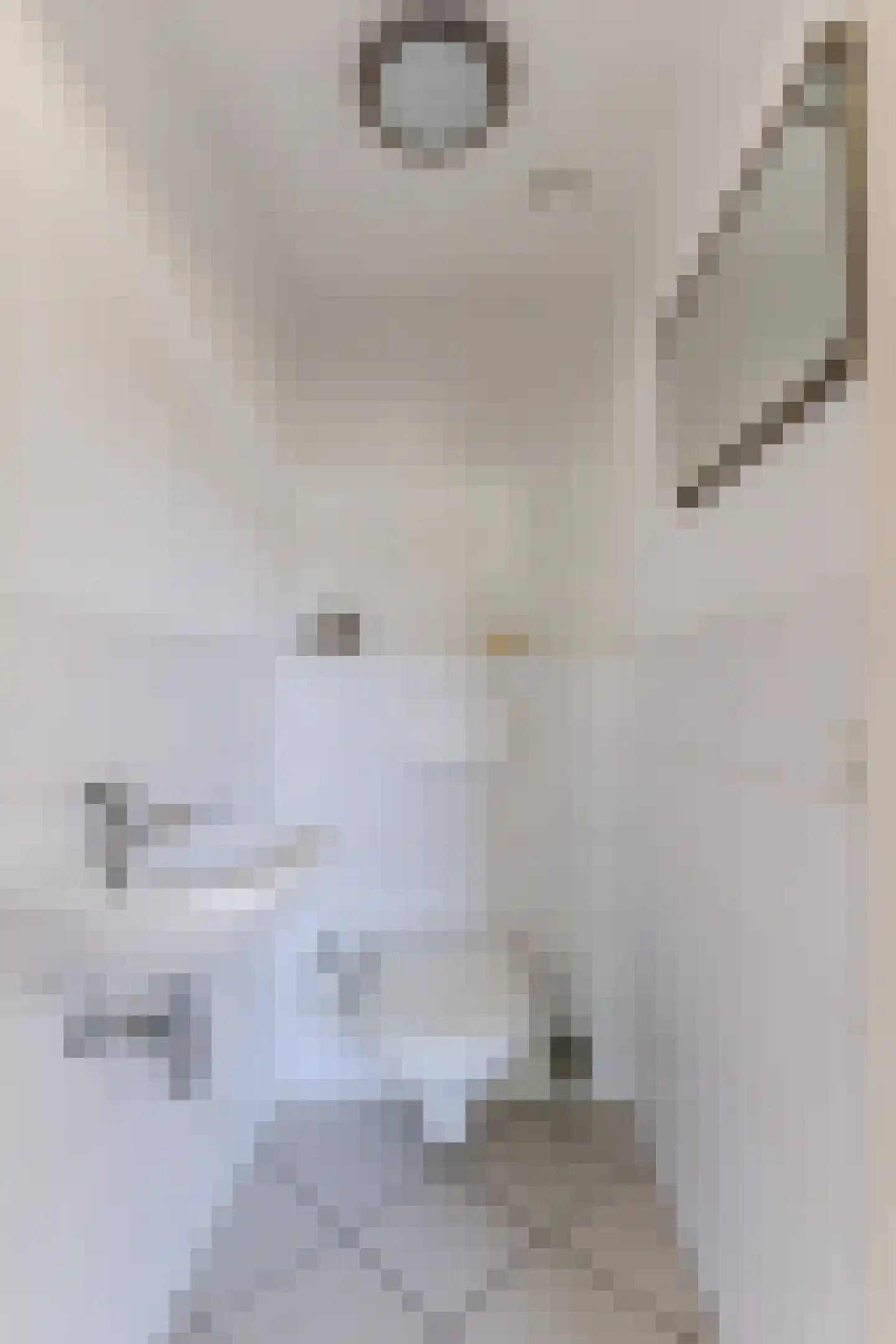 Deltalaan 15 Tilburg thumbnail 20