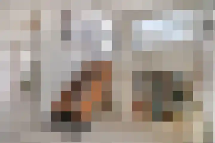 Deltalaan 15 Tilburg thumbnail 22