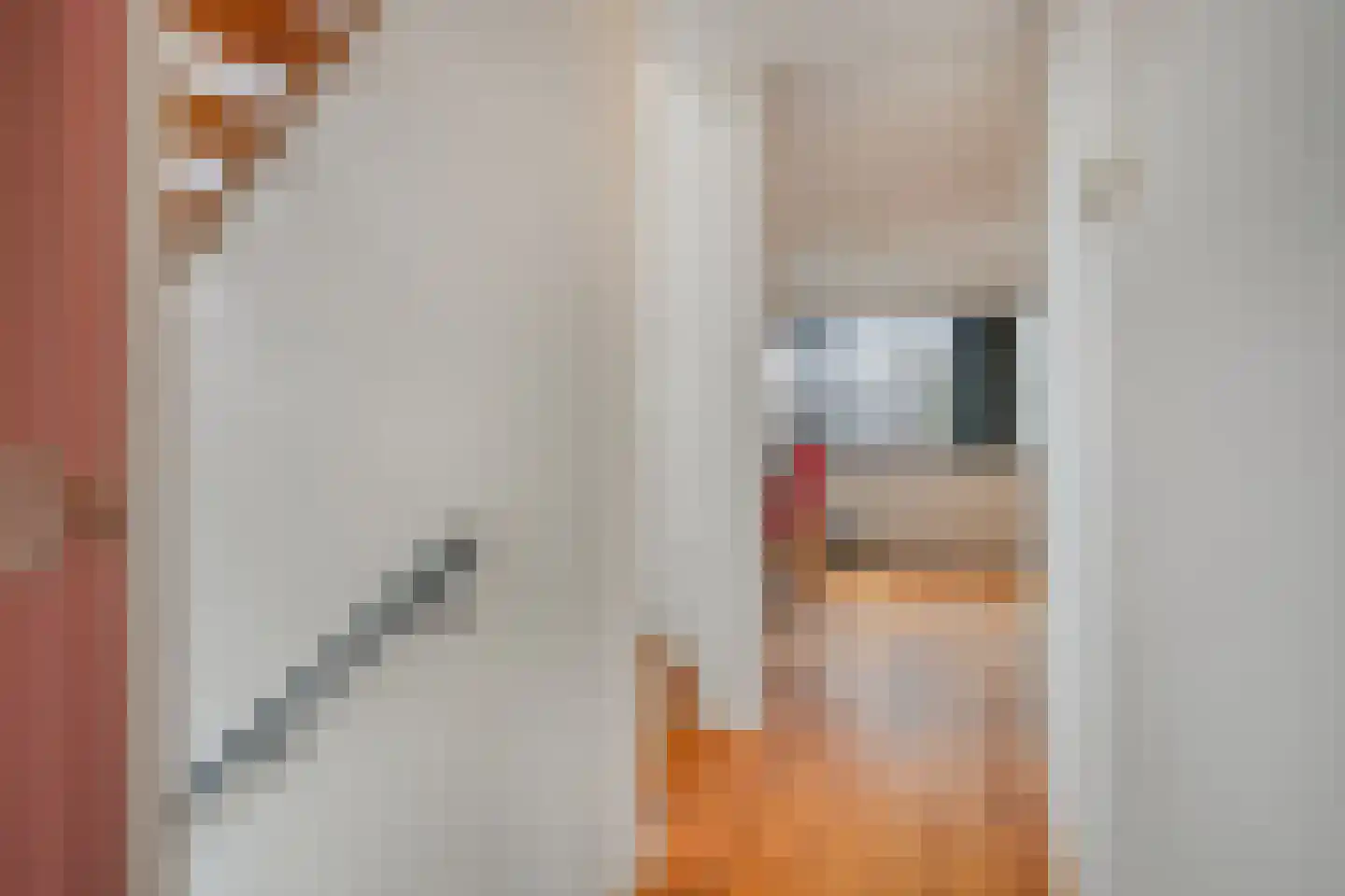Deltalaan 15 Tilburg thumbnail 23