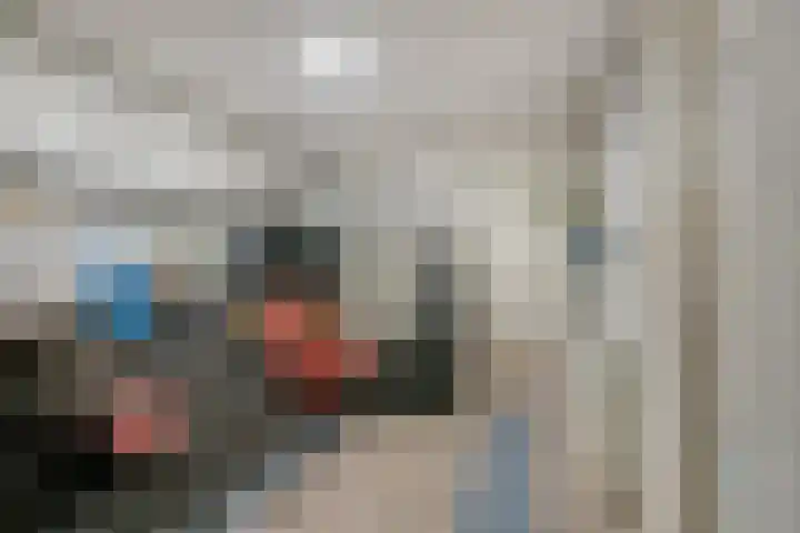 Deltalaan 15 Tilburg thumbnail 46