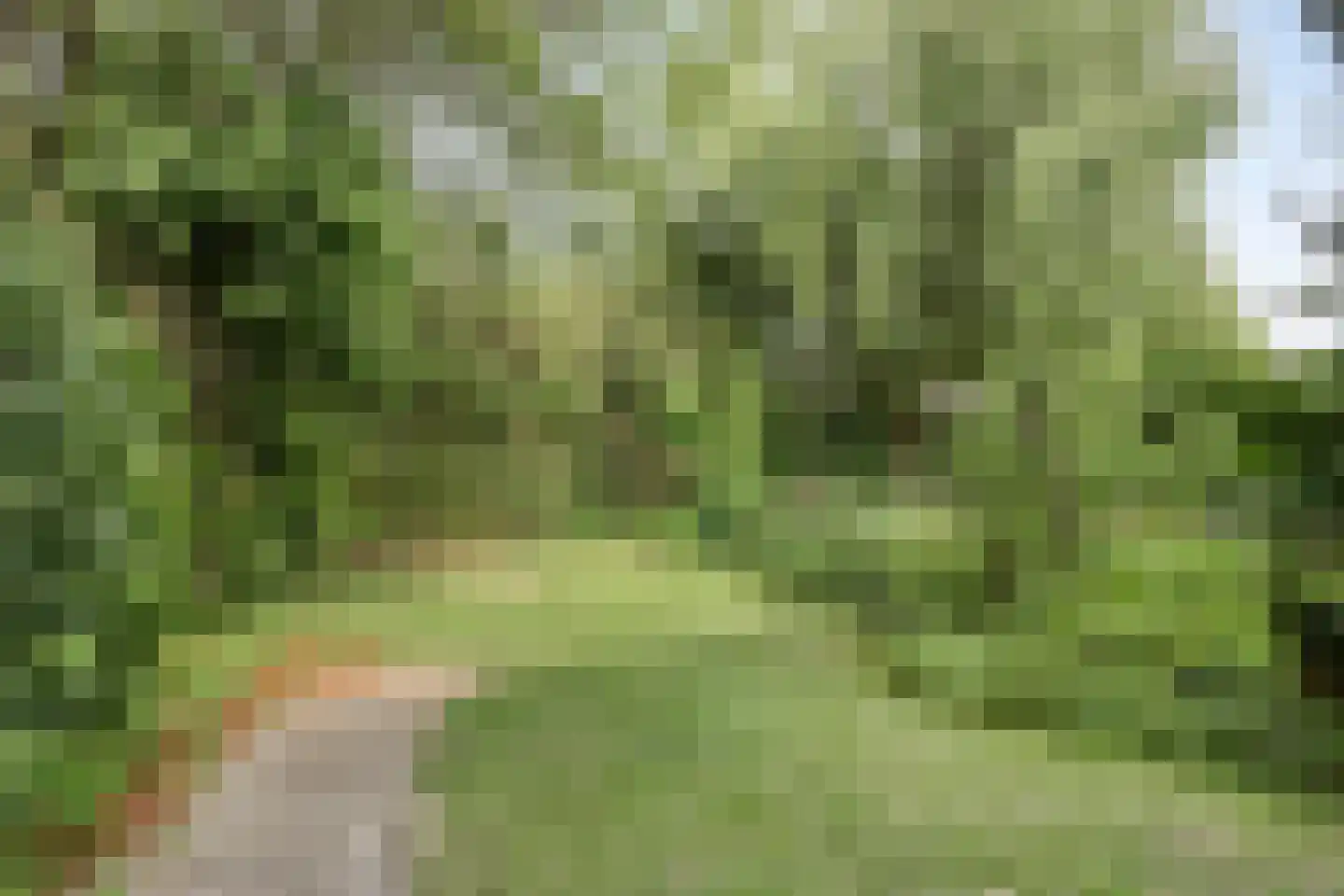 Deltalaan 15 Tilburg thumbnail 48