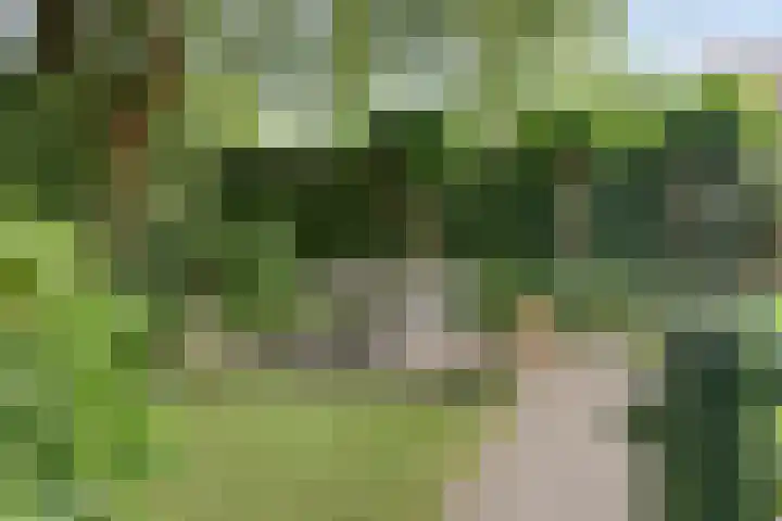Deltalaan 15 Tilburg thumbnail 49