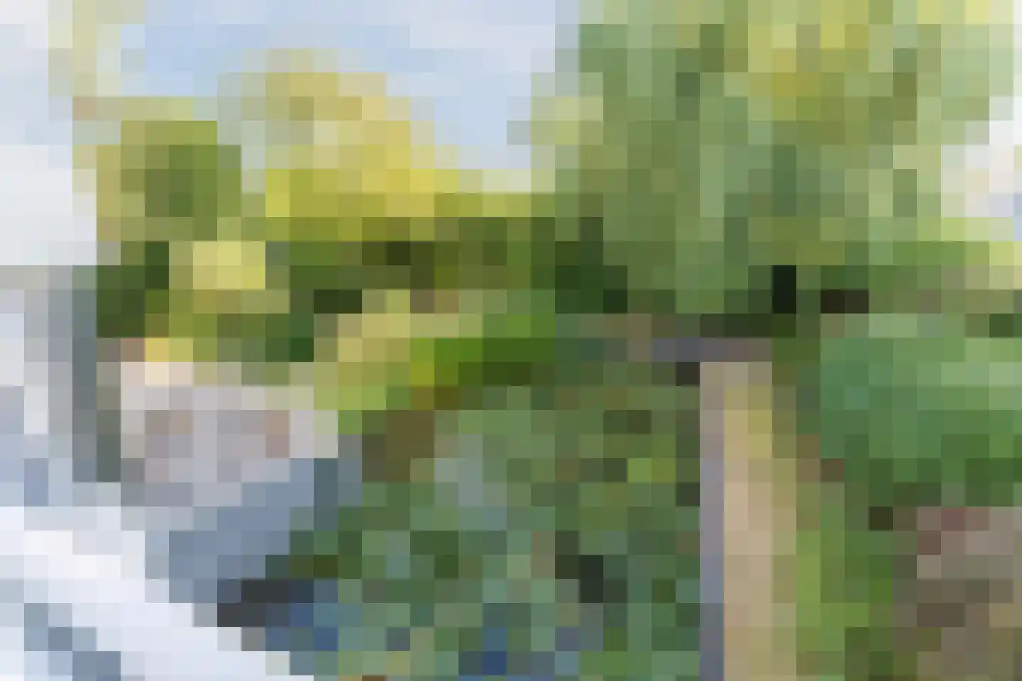 Deltalaan 15 Tilburg thumbnail 49