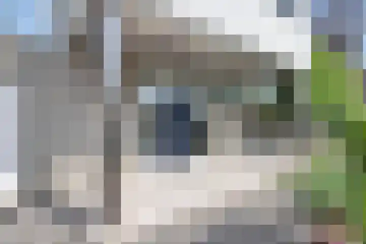 Deltalaan 15 Tilburg thumbnail 5