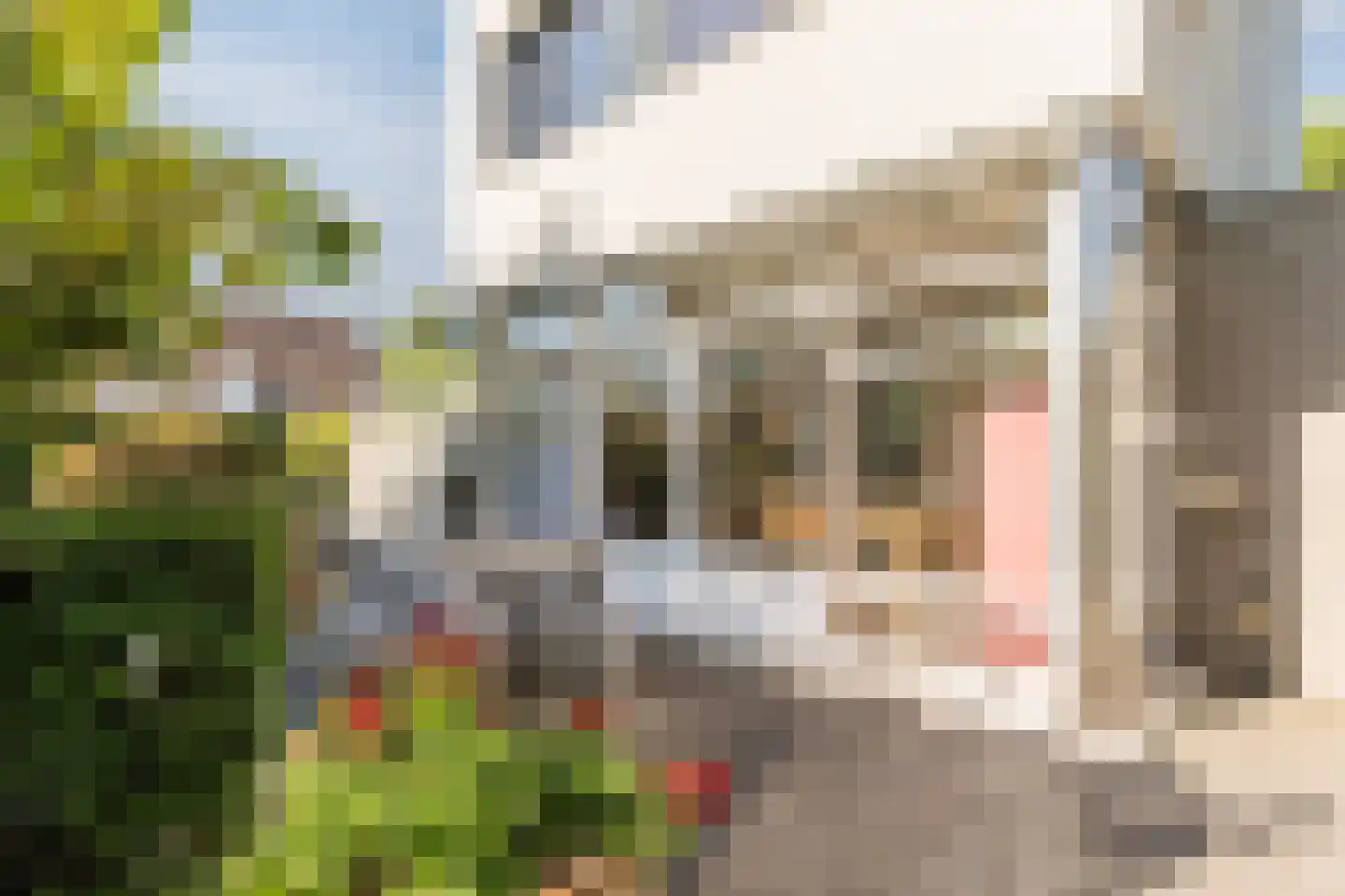 Deltalaan 15 Tilburg thumbnail 51