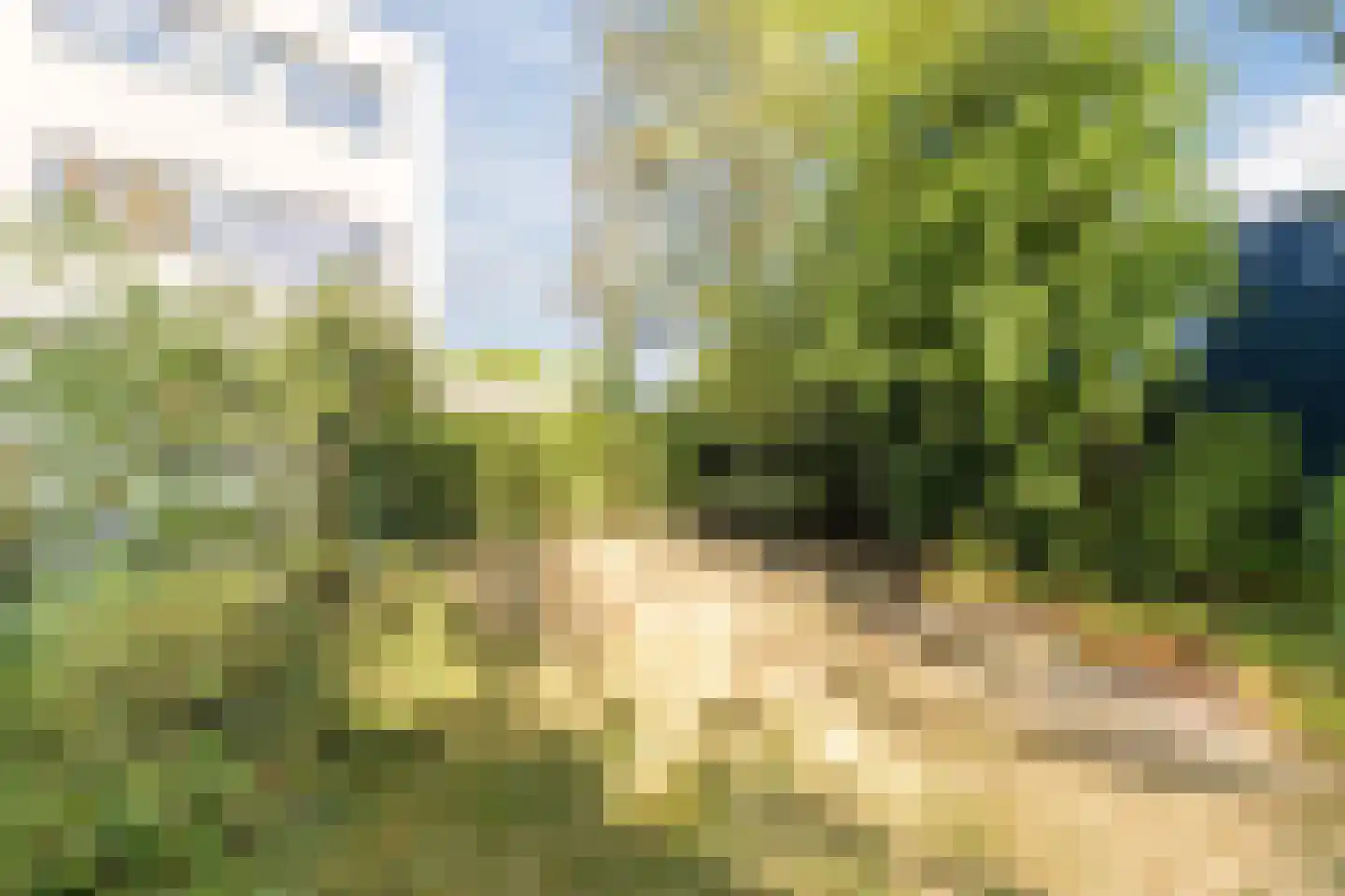 Deltalaan 15 Tilburg thumbnail 56