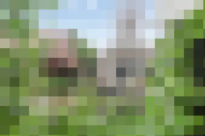 Deltalaan 15 Tilburg thumbnail 58