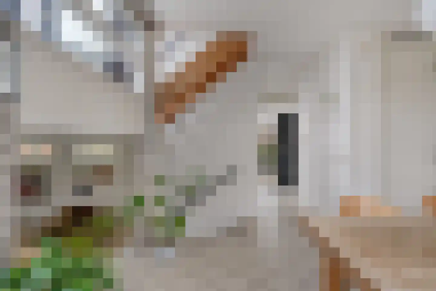 Deltalaan 15 Tilburg thumbnail 9