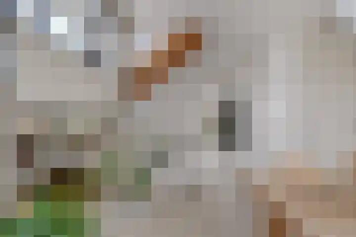 Deltalaan 15 Tilburg thumbnail 9