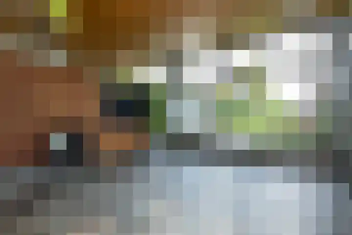 Deltalaan 17 Tilburg thumbnail 9