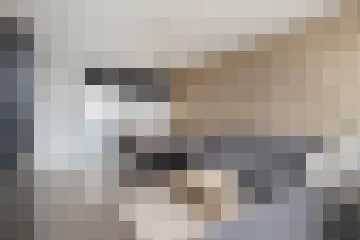 Deltalaan 174 Deventer thumbnail 5