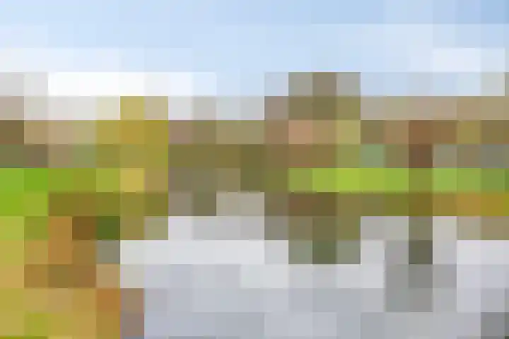 Deltalaan 187 Deventer thumbnail 23