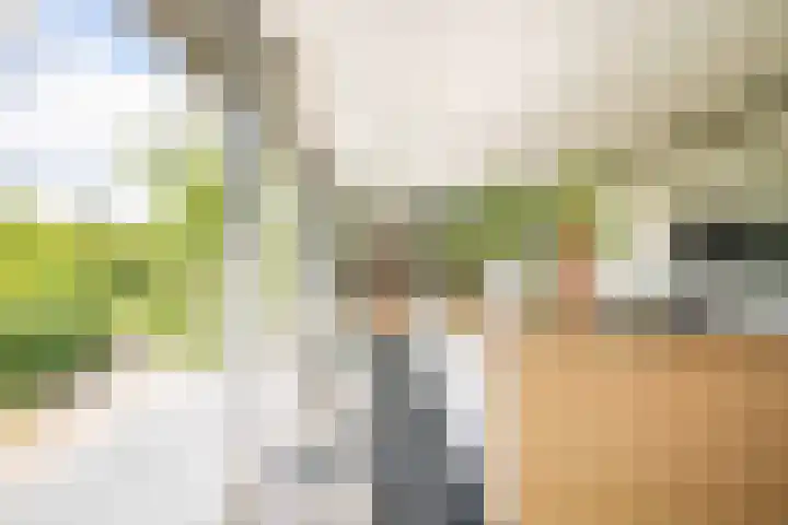 Deltalaan 21 Tilburg thumbnail 10