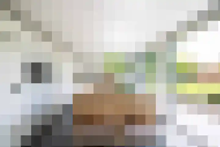 Deltalaan 21 Tilburg thumbnail 11