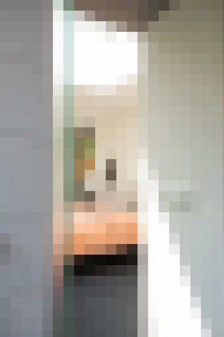 Deltalaan 21 Tilburg thumbnail 22