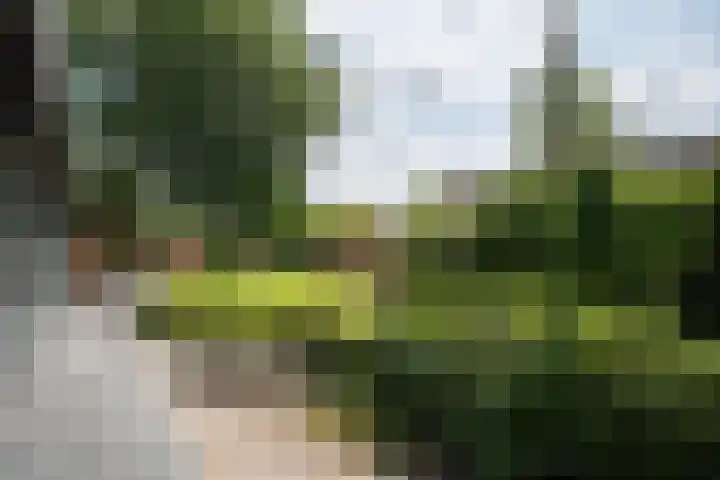 Deltalaan 21 Tilburg thumbnail 34