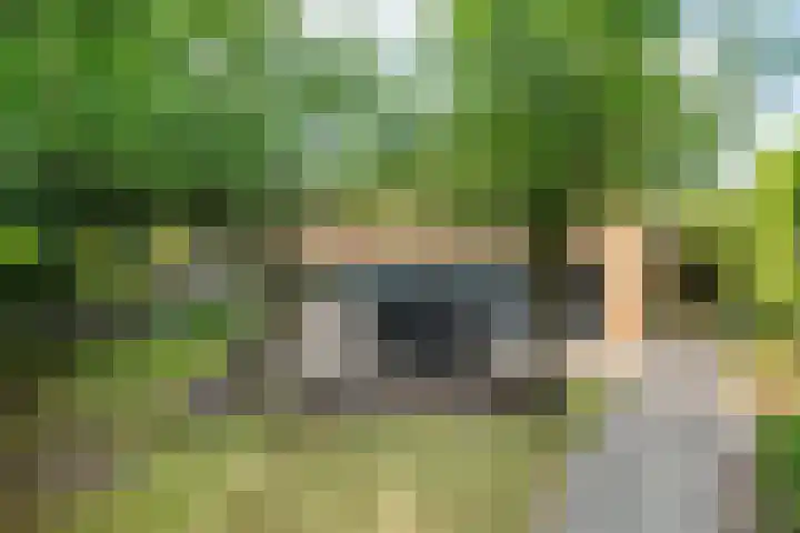 Deltalaan 21 Tilburg thumbnail 4