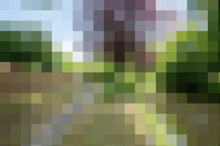 Deltalaan 21 Tilburg thumbnail 40