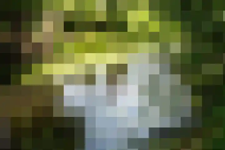 Deltalaan 21 Tilburg thumbnail 41
